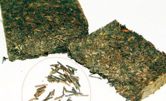 湖南安化黑茶砖茶中为什么含有那么多茶梗？
